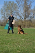 vom Trojangold, hodowla Owczarków Niemieckich Długowłosych