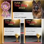 vom Trojangold, hodowla Owczarków Niemieckich Długowłosych