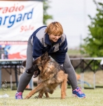 vom Trojangold, hodowla Owczarków Niemieckich Długowłosych