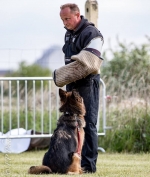 vom Trojangold, hodowla Owczarków Niemieckich Długowłosych