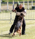 vom Trojangold, hodowla Owczarków Niemieckich Długowłosych