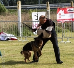 vom Trojangold, hodowla Owczarków Niemieckich Długowłosych