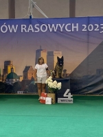 vom Trojangold, hodowla Owczarków Niemieckich Długowłosych