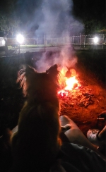 vom Trojangold, hodowla Owczarków Niemieckich Długowłosych