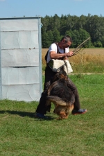 vom Trojangold, hodowla Owczarków Niemieckich Długowłosych