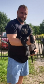 vom Trojangold, hodowla Owczarków Niemieckich Długowłosych