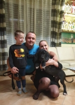 vom Trojangold, hodowla Owczarków Niemieckich Długowłosych