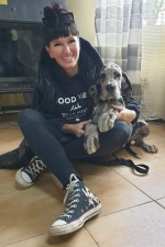 vom Trojangold, hodowla Owczarków Niemieckich Długowłosych