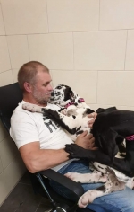 vom Trojangold, hodowla Owczarków Niemieckich Długowłosych