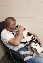 vom Trojangold, hodowla Owczarków Niemieckich Długowłosych