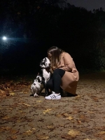 vom Trojangold, hodowla Owczarków Niemieckich Długowłosych