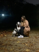 vom Trojangold, hodowla Owczarków Niemieckich Długowłosych