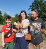 vom Trojangold, hodowla Owczarków Niemieckich Długowłosych