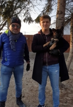 vom Trojangold, hodowla Owczarków Niemieckich Długowłosych