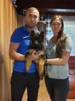 vom Trojangold, hodowla Owczarków Niemieckich Długowłosych