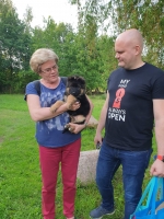 vom Trojangold, hodowla Owczarków Niemieckich Długowłosych