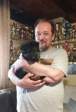 vom Trojangold, hodowla Owczarków Niemieckich Długowłosych