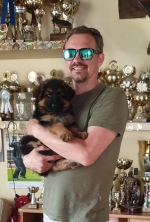 vom Trojangold, hodowla Owczarków Niemieckich Długowłosych