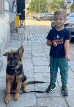 vom Trojangold, hodowla Owczarków Niemieckich Długowłosych