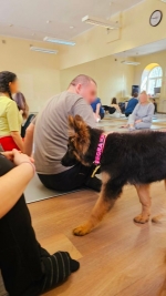 vom Trojangold, hodowla Owczarków Niemieckich Długowłosych