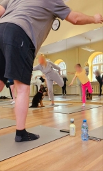 vom Trojangold, hodowla Owczarków Niemieckich Długowłosych