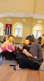 vom Trojangold, hodowla Owczarków Niemieckich Długowłosych