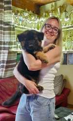 vom Trojangold, hodowla Owczarków Niemieckich Długowłosych