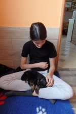 vom Trojangold, hodowla Owczarków Niemieckich Długowłosych