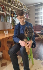 vom Trojangold, hodowla Owczarków Niemieckich Długowłosych