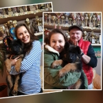 vom Trojangold, hodowla Owczarków Niemieckich Długowłosych