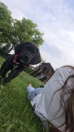 vom Trojangold, hodowla Owczarków Niemieckich Długowłosych