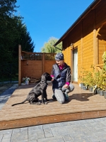 vom Trojangold, hodowla Owczarków Niemieckich Długowłosych