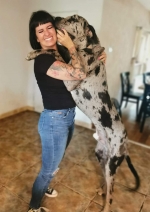 vom Trojangold, hodowla Owczarków Niemieckich Długowłosych