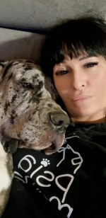 vom Trojangold, hodowla Owczarków Niemieckich Długowłosych