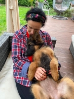 vom Trojangold, hodowla Owczarków Niemieckich Długowłosych