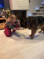 vom Trojangold, hodowla Owczarków Niemieckich Długowłosych