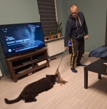 vom Trojangold, hodowla Owczarków Niemieckich Długowłosych