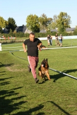 vom Trojangold, hodowla Owczarków Niemieckich Długowłosych