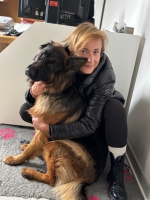 vom Trojangold, hodowla Owczarków Niemieckich Długowłosych