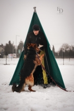 vom Trojangold, hodowla Owczarków Niemieckich Długowłosych