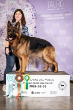 vom Trojangold, hodowla Owczarków Niemieckich Długowłosych