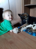 vom Trojangold, hodowla Owczarków Niemieckich Długowłosych