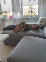 vom Trojangold, hodowla Owczarków Niemieckich Długowłosych