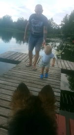 vom Trojangold, hodowla Owczarków Niemieckich Długowłosych