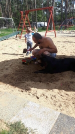 vom Trojangold, hodowla Owczarków Niemieckich Długowłosych