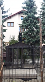 vom Trojangold, hodowla Owczarków Niemieckich Długowłosych