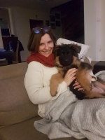 vom Trojangold, hodowla Owczarków Niemieckich Długowłosych