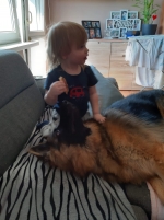 vom Trojangold, hodowla Owczarków Niemieckich Długowłosych