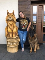 vom Trojangold, hodowla Owczarków Niemieckich Długowłosych