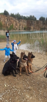 vom Trojangold, hodowla Owczarków Niemieckich Długowłosych